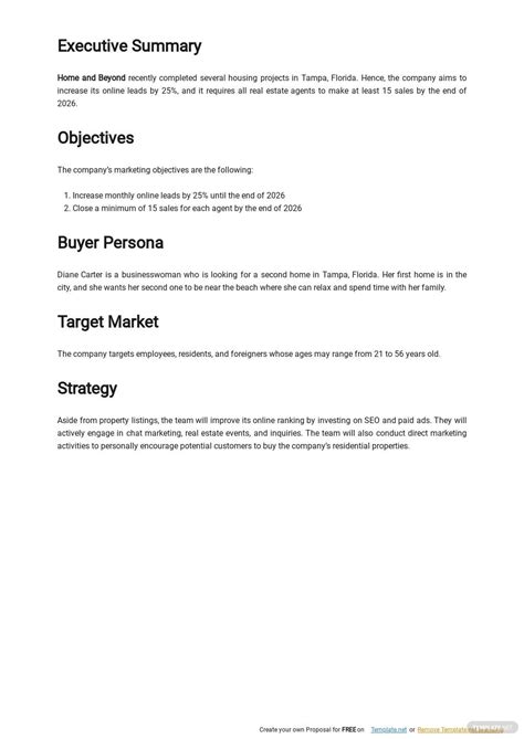 Marketing Plan Template Executive Summary Business Flyer Real Estate