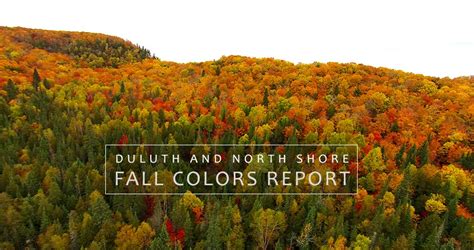 Minnesota North Shore Fall Colors Report 2019 Perfect Duluth Day