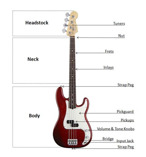 Bass Buyers Guide At
