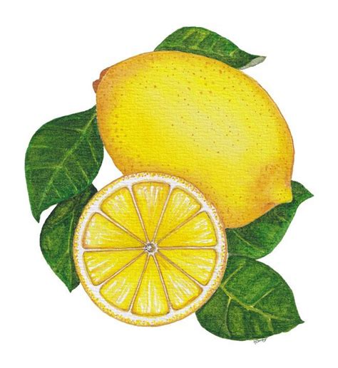 Pin On Fruits Designs Ts