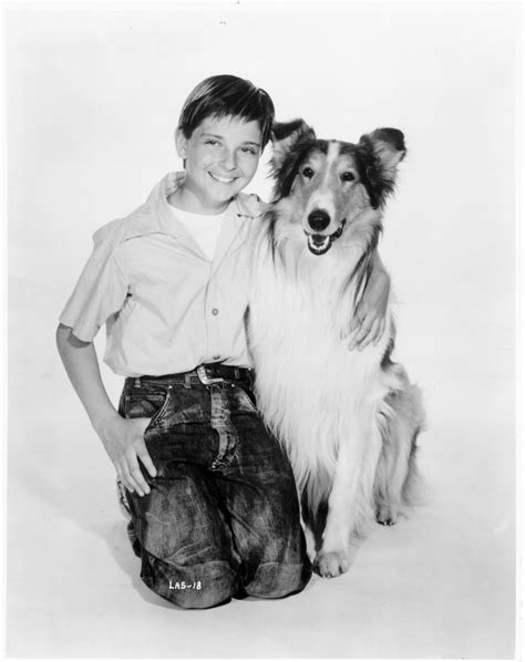 Pin On 75 Years Of Lassie