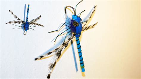 Adult Dragonfly Tube Imitation By Ruben Martin Youtube