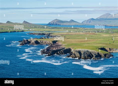 Coastline Of The Atlantic Ocean Dingle Peninsula Kerry County