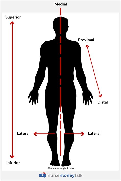 Proximal Vs Distal Examples Diagram Nurse Money Talk