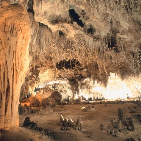 The biggest mammal in north america is the buffalo or the elk. The Largest Caverns in the USA | USA Today