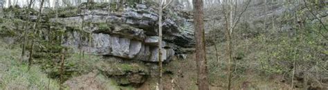 Cedar Sink Trail Mammoth Cave National Park 2021 All You Need To