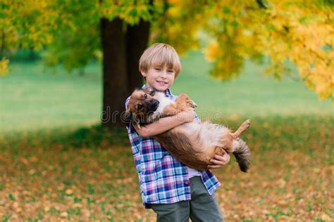 Cute Boy Playing And Walking With His Dog In A Meadow Stock Photo