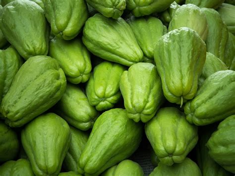 Chuchu é Fruta Ou Legumes