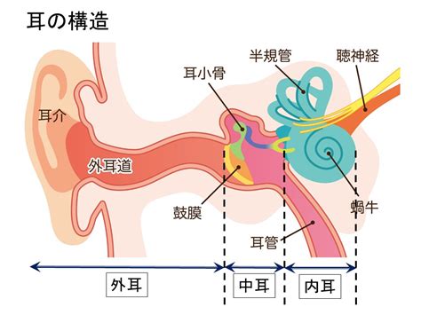 Search for text in url. 耳鳴り | 水戸の補聴器専門店｜関東補聴器