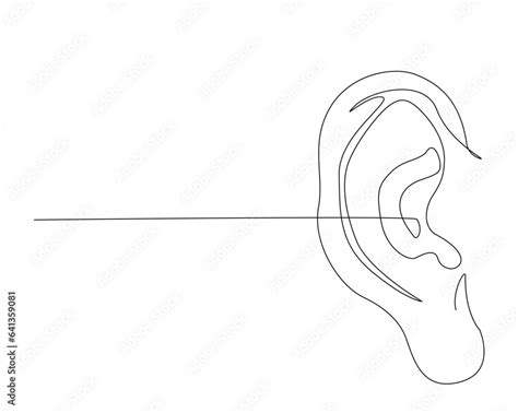Human Ear Outline Continuous One Line Drawing Of Human Ear Anatomy