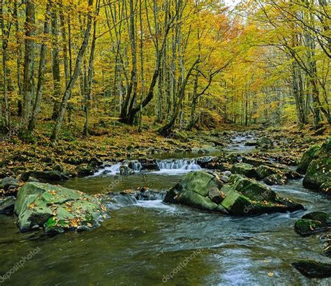Beautiful Autumn Landscape — Stock Photo © Kyslynskyy 121950084