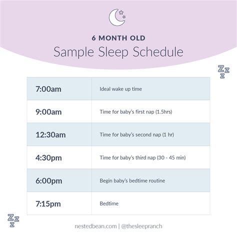 6 Month Old Sleep Schedule Nested Bean