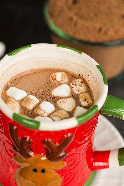 Homemade Hot Chocolate Mix Recipe