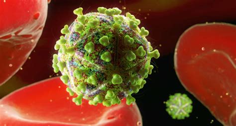Hiv Microscopy In Pictures