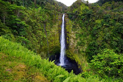 3 Of The Best Big Island Hikes Private Homes Hawaii