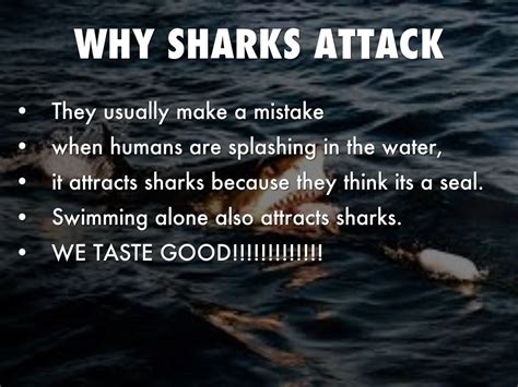 Why Do Sharks Attack Humans