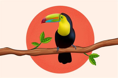 Vector Illustration Of A Toucan Bird Graphic By Rumonhossain0062