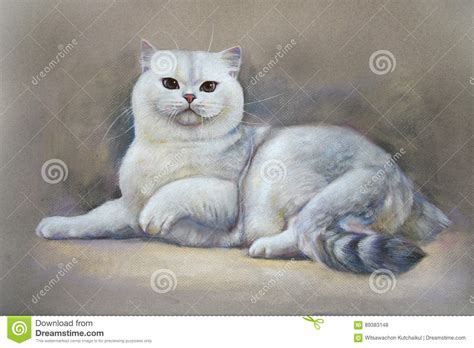 Painting Cat British Shorthair Stock Illustration