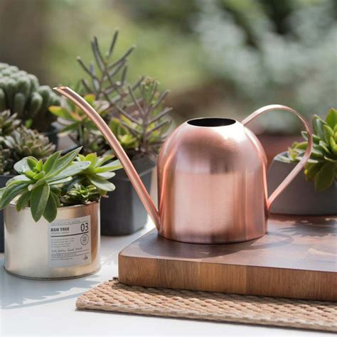 Windfall 500ml Rose Gold Watering Can Mini House Watering Can For