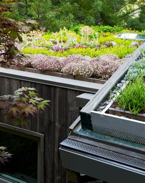 5 Examples Of Living Green Roofs Grass Turf And Succulent Sedums Homeli