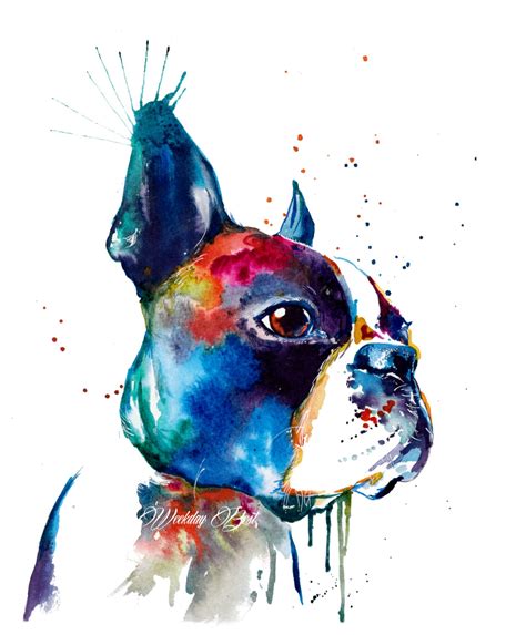 Colorful Boston Terrier Art Print Print Of My Original