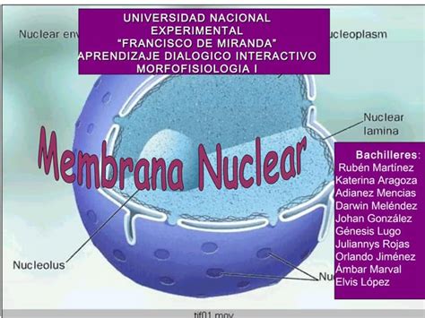 Membrana Nuclear Ppt