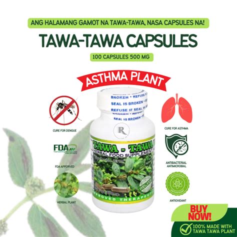 😁 Original Pure Tawa Tawa Herbal Capsules 100 Capsules 500mg For