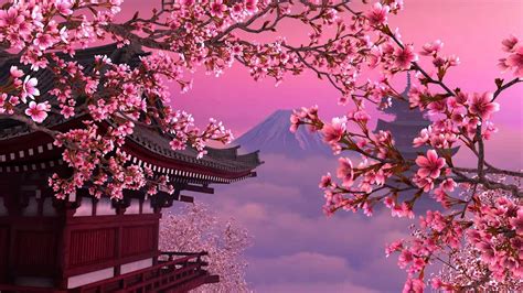 Sakura Hd Wallpapers Desktop Wallpaper Cherry Blossom Tree