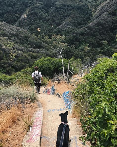 Hikes In Los Angeles Trails With Spectacular Endings Curbed LA Hikes In Los Angeles