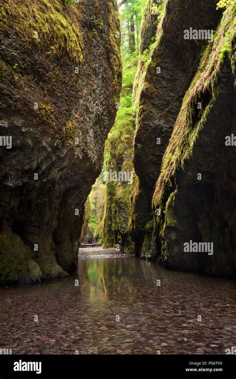 Mossy Gorge Hi Res Stock Photography And Images Alamy