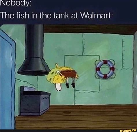 Nobody The Fish In The Tank At Walmart Ifunny