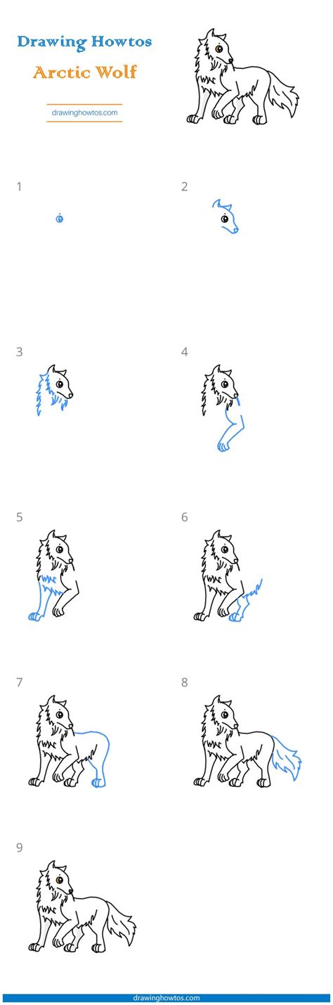 How To Draw An Arctic Wolf Step By Step Easy Drawing Guides Drawing
