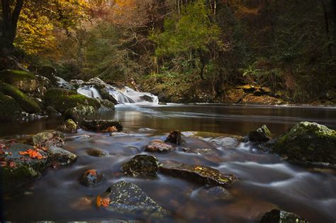 River Rocks Fall Forest Autumn Wallpapers Hd Desktop