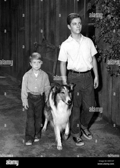 Lassie Jon Provost Lassie Tommy Rettig 1954 74 Stock Photo Alamy