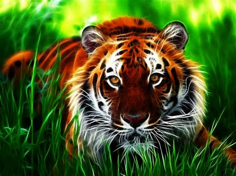 Wallpapers Tiger 3d Wallpapers