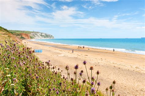 Las 10 Mejores Playas De La Isla De Wight Encuentra Tu Playa Perfecta