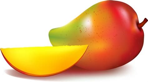 Mango vector free vector download (38 Free vector) for ...