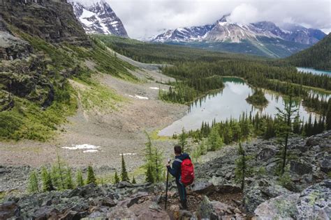 Hiking And Camping At Lake Ohara The Complete Guide To Yohos Paradise