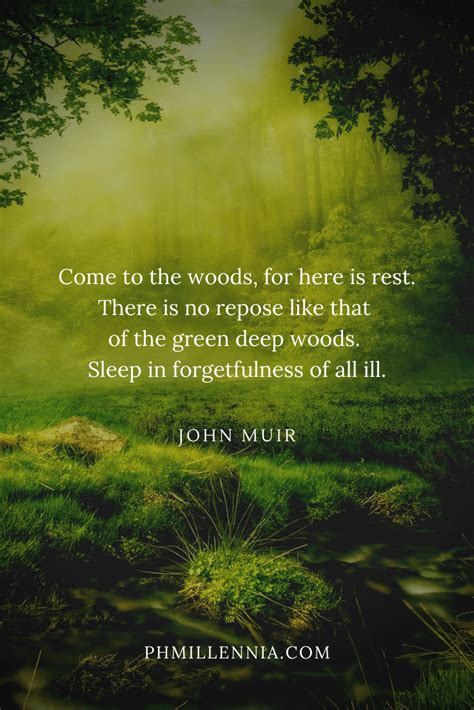 199 Wonderful And Inspiring Quotes On Woods And Forests Phmillennia