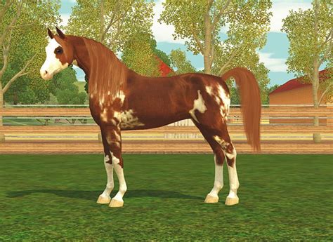 Sims 3 Horse Breeds Traits Genius Brave Agile Horses Horse