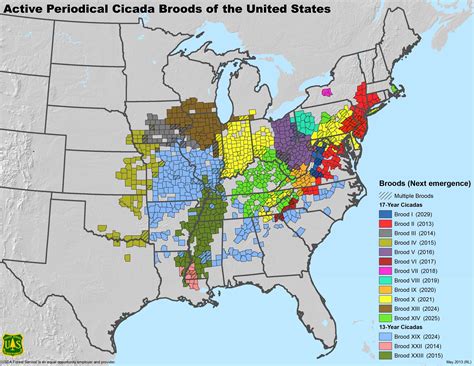 2020 has had a bit of an end of the world kind of vibe about it. Map Monday, Periodical Cicada Invasion