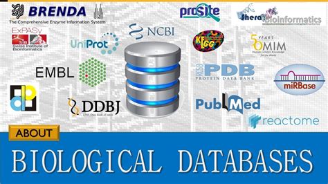 An Insight Into Different Aspect Of BIOLOGICAL DATABASE The Heart Of Bioinformatics YouTube