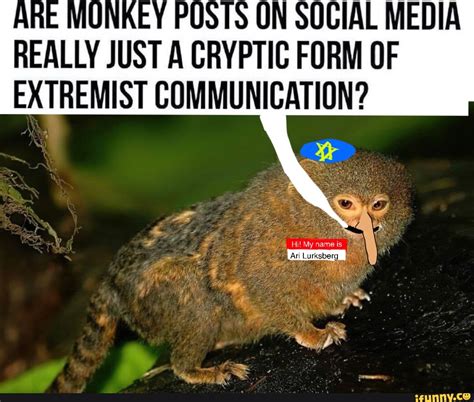 Are Monkey Posts On Social Media Really Just A Cryptic Form Of