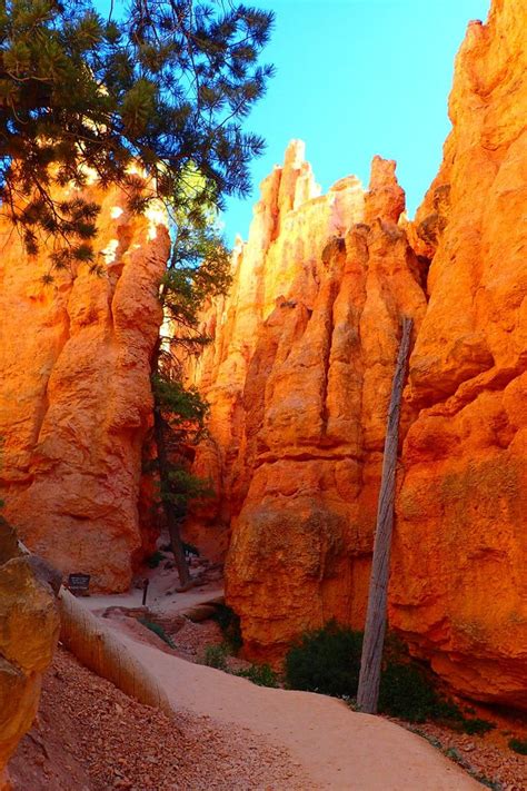 Best Way To Hike Into Bryce Canyon National Park Arches Nationalpark