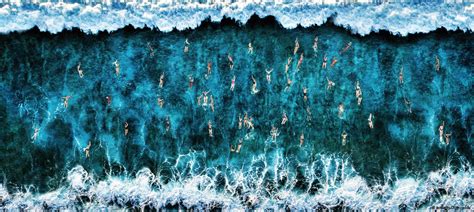 Sony World Photography Awards 2020 Exhibition | Somerset House