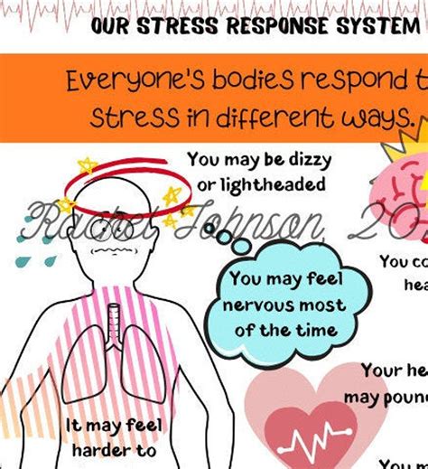 TFCBT Poster: Our Stress Response System | Etsy