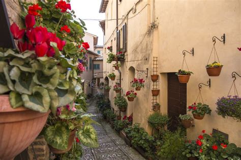 Floral Streets Of Spello In Umbria Italy Stock Image Image Of