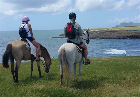 So, how is dirt bike riding working out for you? Many have dreamed of riding a horse on the beach or in the ...