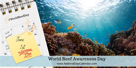 World Reef Awareness Day June 1 Coral Bleaching Awareness Coral Reef