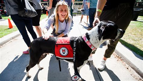 In short, in therapy sessions. Carleton Expands Therapy Dog Program | Carleton Newsroom
